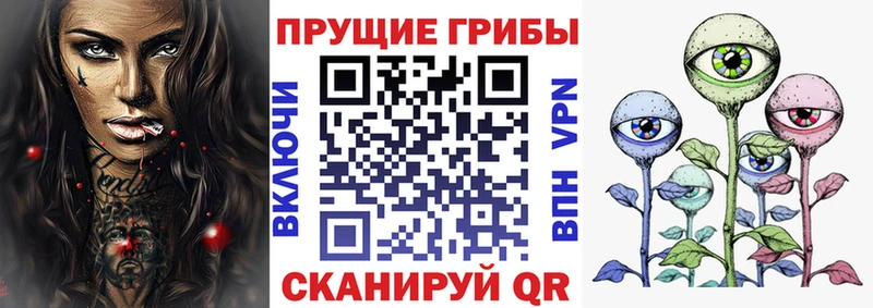 МЕГА как войти  Юрьев-Польский  Галлюциногенные грибы Psilocybe  купить закладку 